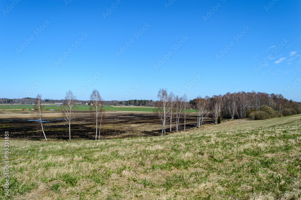 empty fields in autumn in countryside