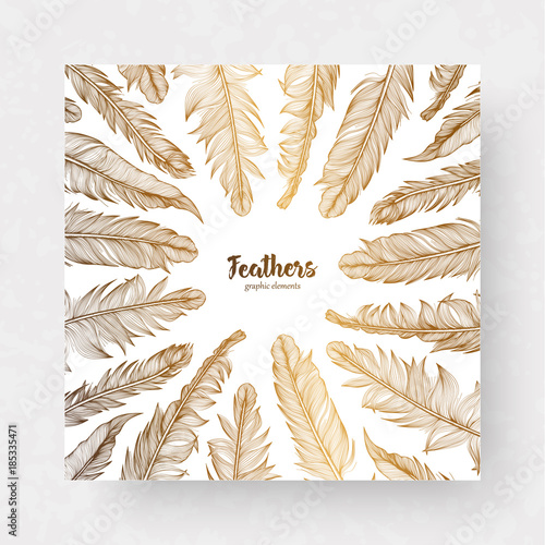 Vector design template with gold feathers for invitations, wedding greeting cards, certificate, labels