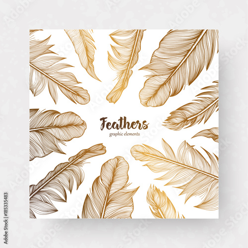 Vector design template with gold feathers for invitations, wedding greeting cards, certificate, labels