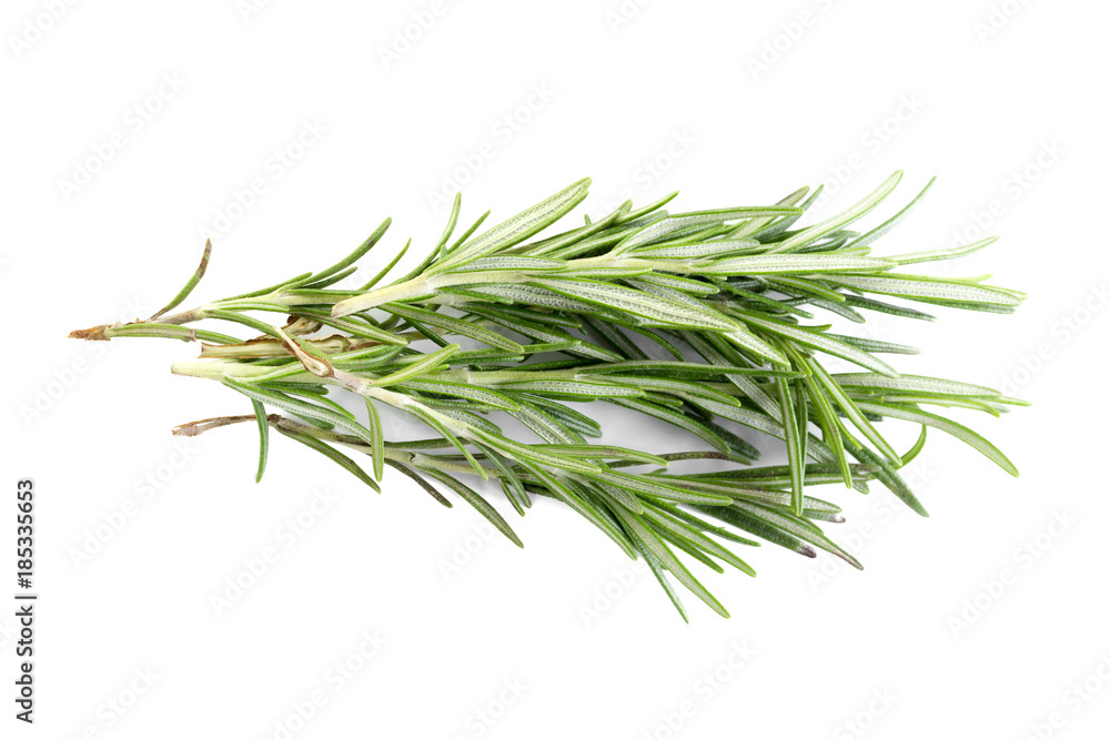 rosemary isolated on white rosemary isolated on white