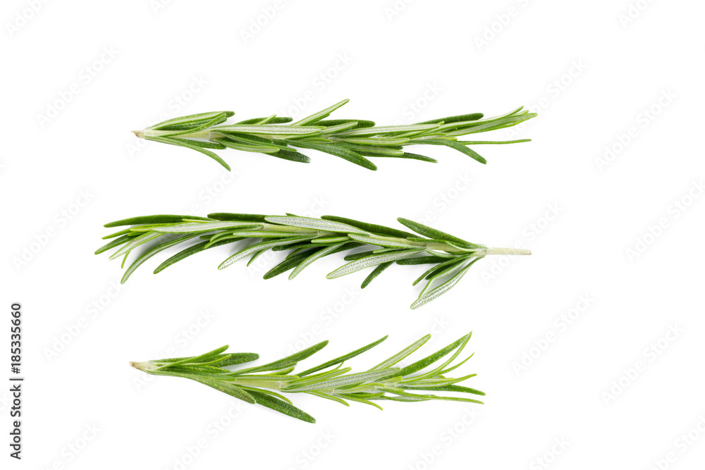 Fototapeta premium rosemary isolated on white