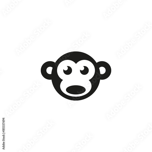 Photography monkey