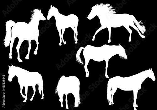 seven horse silhouettes isolated on black