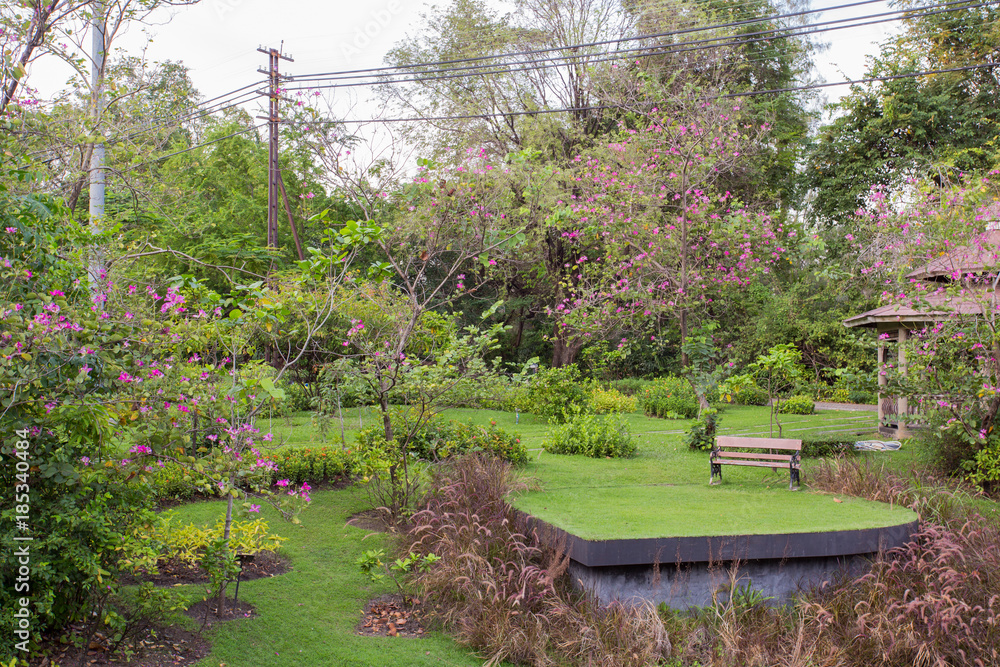 Landscaping lawn design.