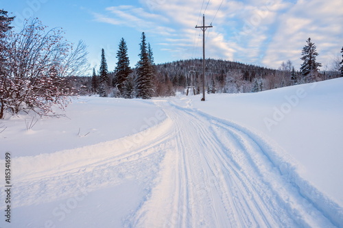 The ski track follows the snow next to the power line in the winter forest.