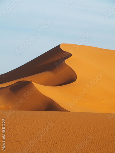 Sanddune 