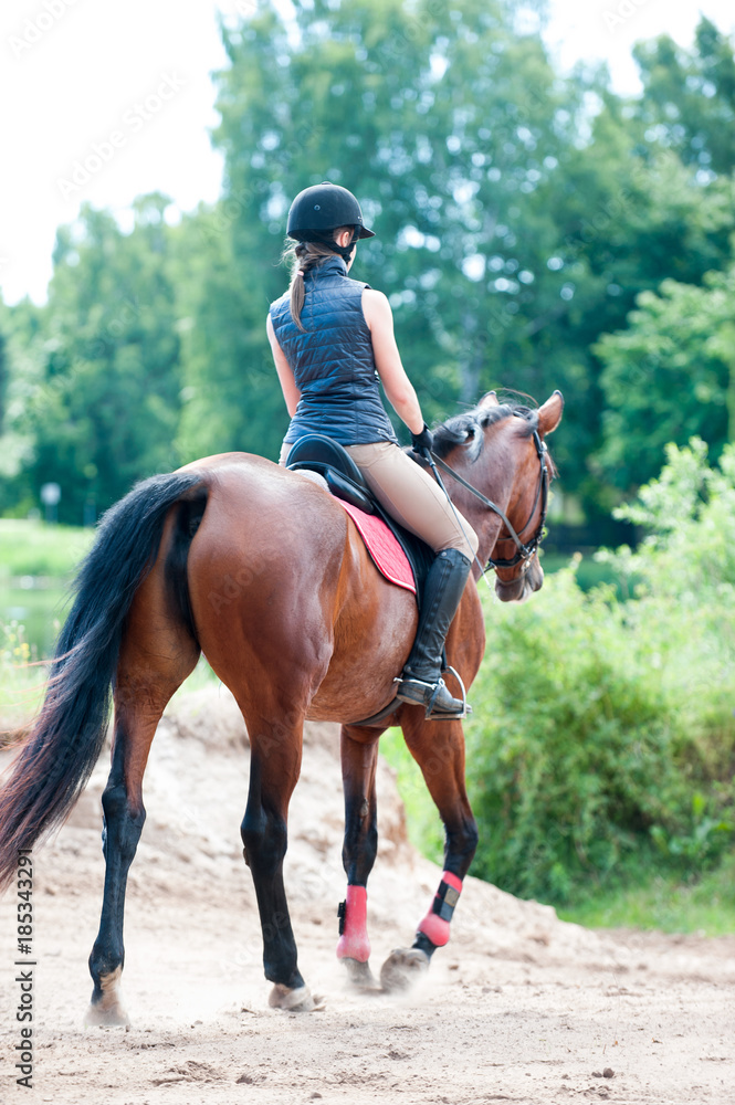 Fototapeta premium Young lady riding a horse in forest. Training process