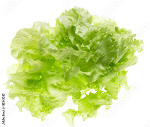cut salad leaves on a white background