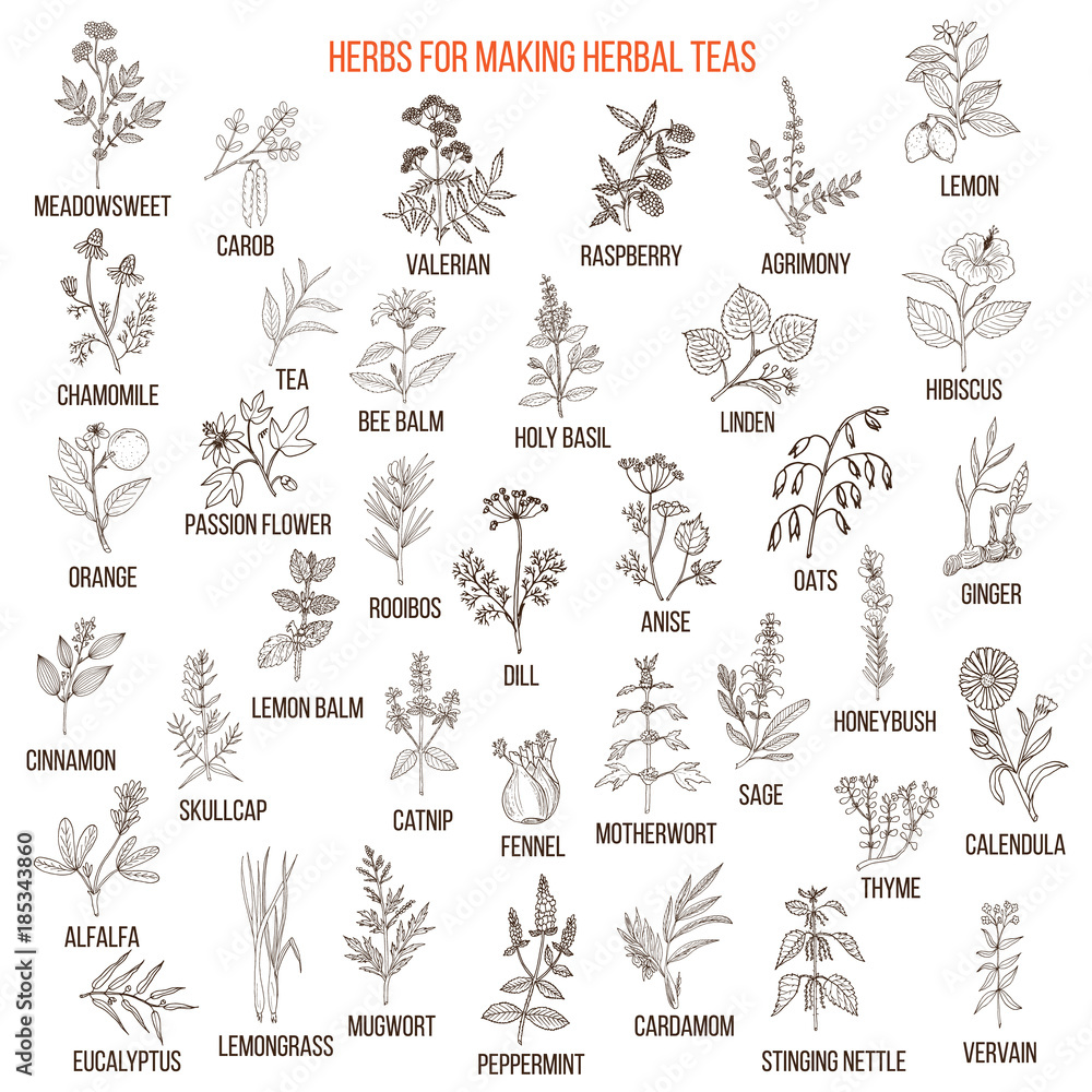 Best herbs for teas