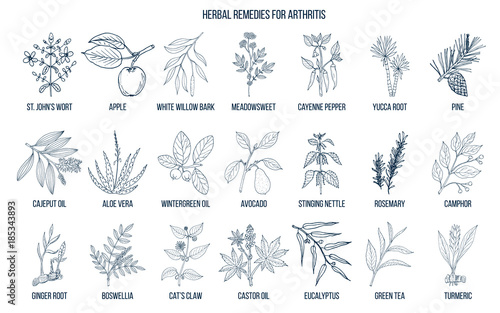 Best herbal remedies for arthritis
