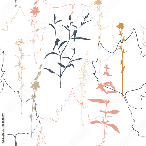 Summer flowers, herbs and leaves floral vector seamless pattern. Realistic botanical background with hand drawn chicory flowers, maple leaves and herbal grasses.