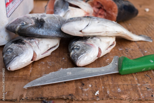 Fresh Gilt-head bream (or dourada) fish at Porto market (Mercado do Bolhao). Portugal photo