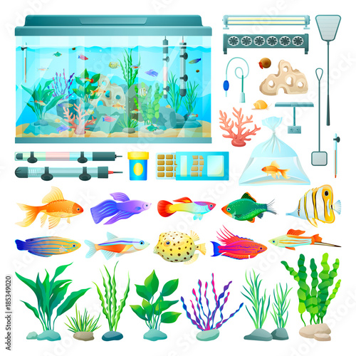 Aquarium and Fish Set of Icons Vector Illustration