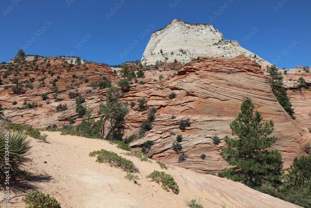 Checkerboard Mesa in Zion National Park. Utah. USA Checkerboard Mesa in Zion National Park. Utah. USA