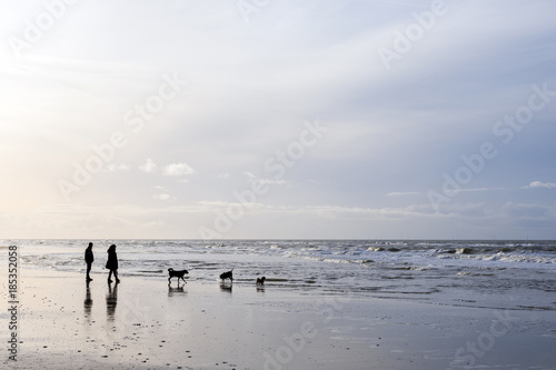 Canvas Print people and dogs stroll on north sea beach in dutch province of north holland on