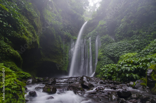 Tiu kelep waterfall  senaru  lombok island  indonesia