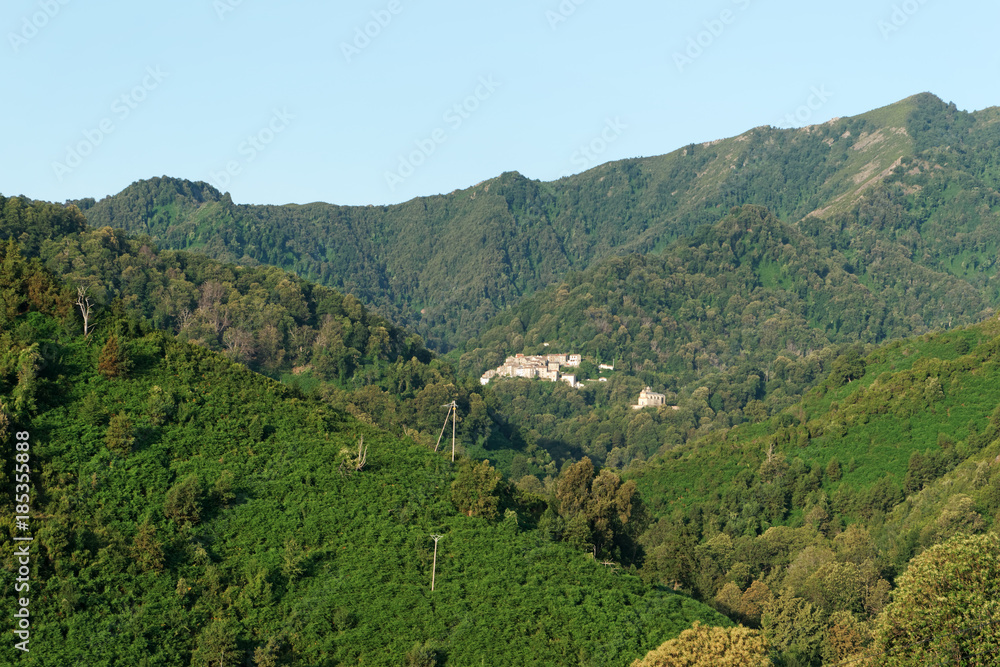 village de Costa verde et forêt de Châtaigniers en haute Corse