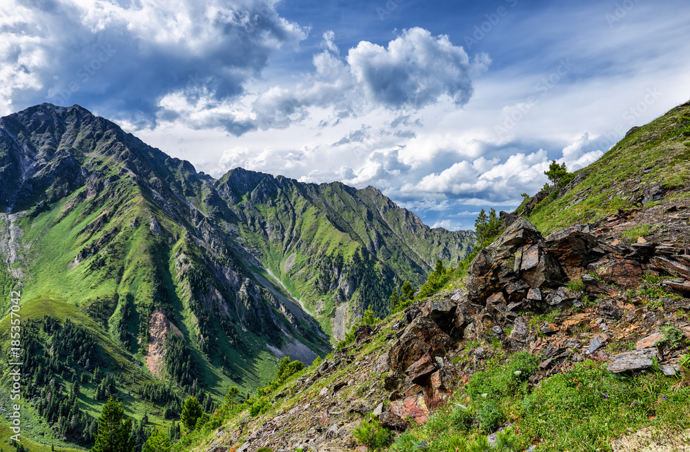 Siberian highlands in July