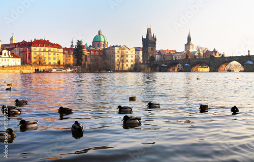Prague. View of the Old City and Charles Bridge from the Vltava River with floating ducks