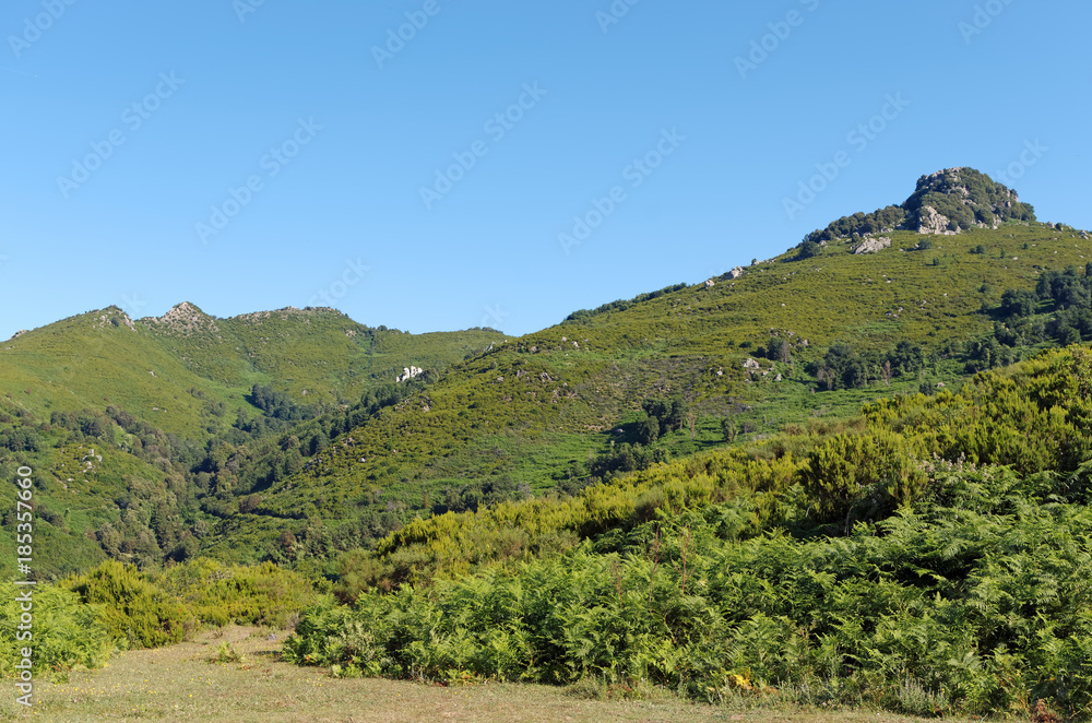 pâturages dans les  montagnes de Costa verde en haute Corse