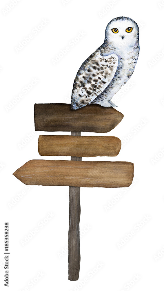 Fototapeta premium Wooden sign and snowy owl character sitting on it. Hand drawn watercolour illustration, isolated, cutout, white background. Directional information, guidepost, place for text, placard, advice, label.