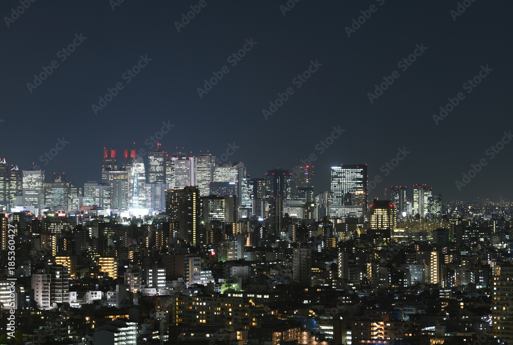 日本の東京都市風景「新宿副都心などの街並みを望む」