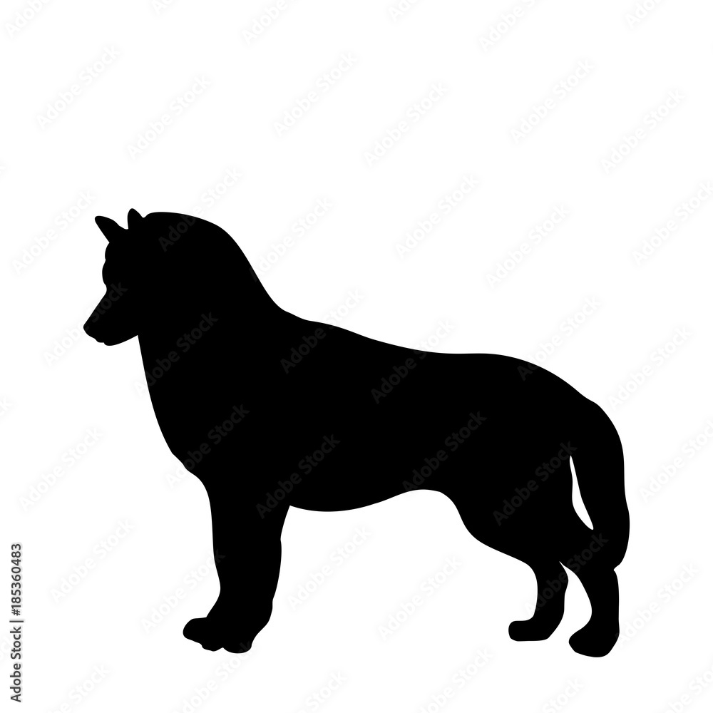 Black silhouette of dog standing backways isolated on white background Black silhouette of dog standing backways isolated on white background