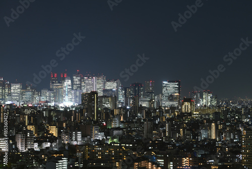 日本の東京都市風景「新宿副都心などの街並みを望む」 © Ryuji
