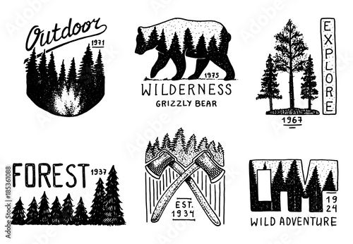coniferous forest, mountains and wooden logo. camping and wild nature. landscapes with pine trees and hills. emblem or badge, tent tourist, brown bear, travel for vintage labels. engraved hand drawn.