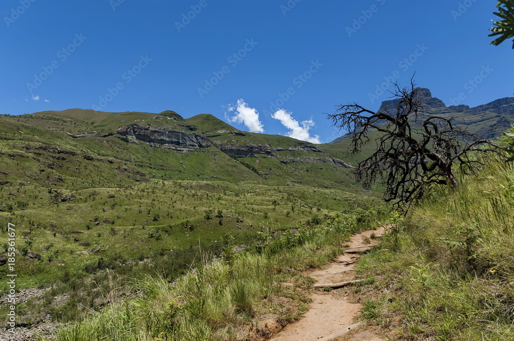 Path, walk to Thukela waterfall in Royal Natal Park Drakensberg mountain, South Africa
