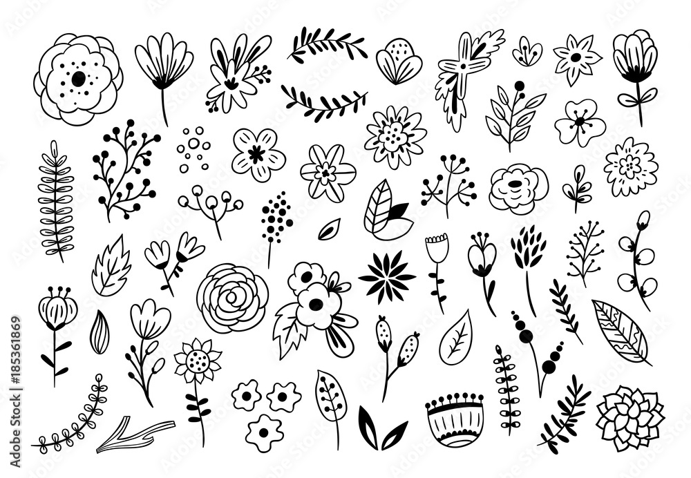 Fototapeta Kwiatowy elementy graficzne wektor duży zestaw. Kwiaty i rośliny ręcznie rysowane ilustracje