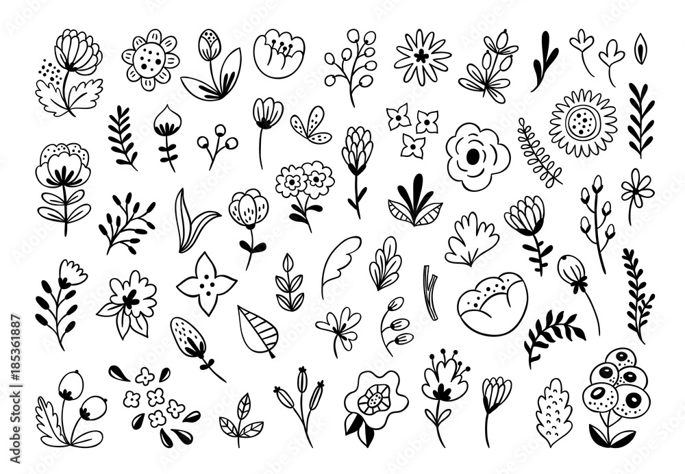 Hand drawn flowers vector set. Florals and leaves black and white ...