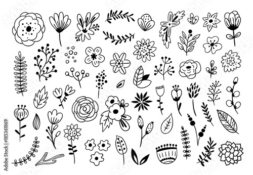 Fototapeta Kwiatowy elementy graficzne wektor duży zestaw. Kwiaty i rośliny ręcznie rysowane ilustracje