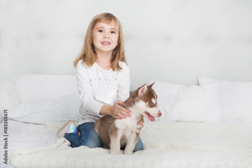Happy Little girl lying on a bed and hugging with the puppy husky dog