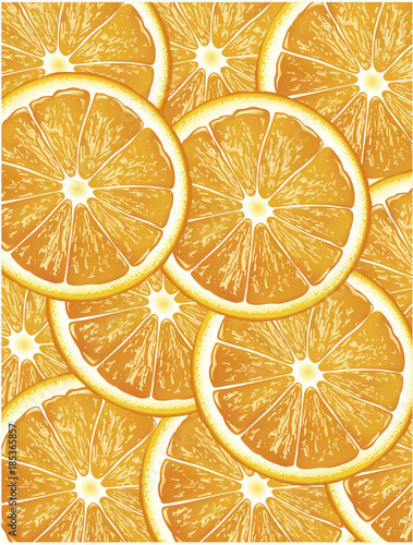 orange slices vector background