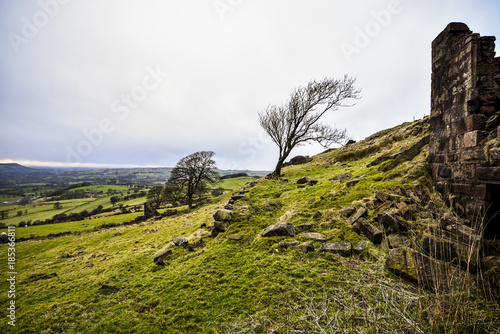 Wind Blown Trees, The Roaches, Peak District National Park, Derbyshire, UK