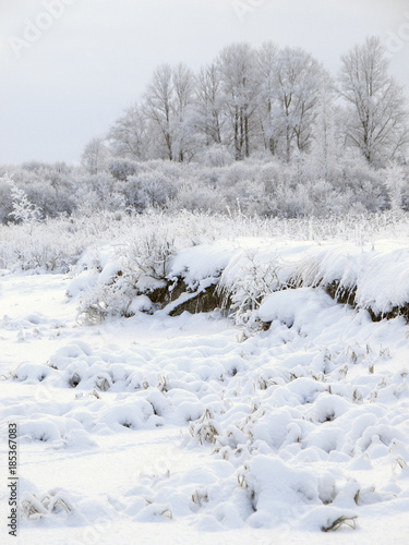 Photography Christmas fairy tale snow scenary