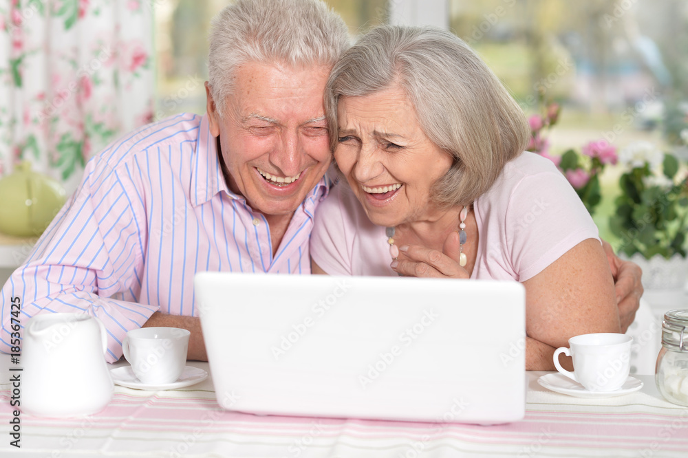 happy beautiful senior couple using laptop happy beautiful senior couple using laptop
