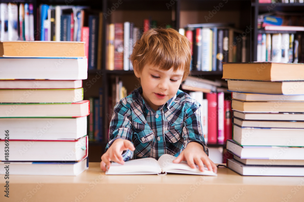 preschooler little boy reading a book in the library. the little boy with books near a bookcase
preschooler little boy reading a book in the library. the little boy with books near a bookcase