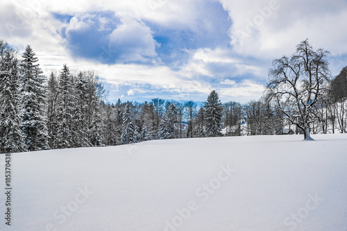 First snow