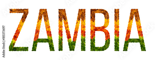 Принти на полотні word zambia country is written with leaves on a white insulated background, a ba