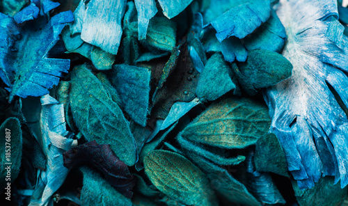 Colourful dried flowers petals and leaves.