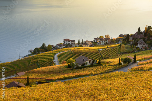 Lavaux Vineyard Terraces, Switzerland during sunset in autumn