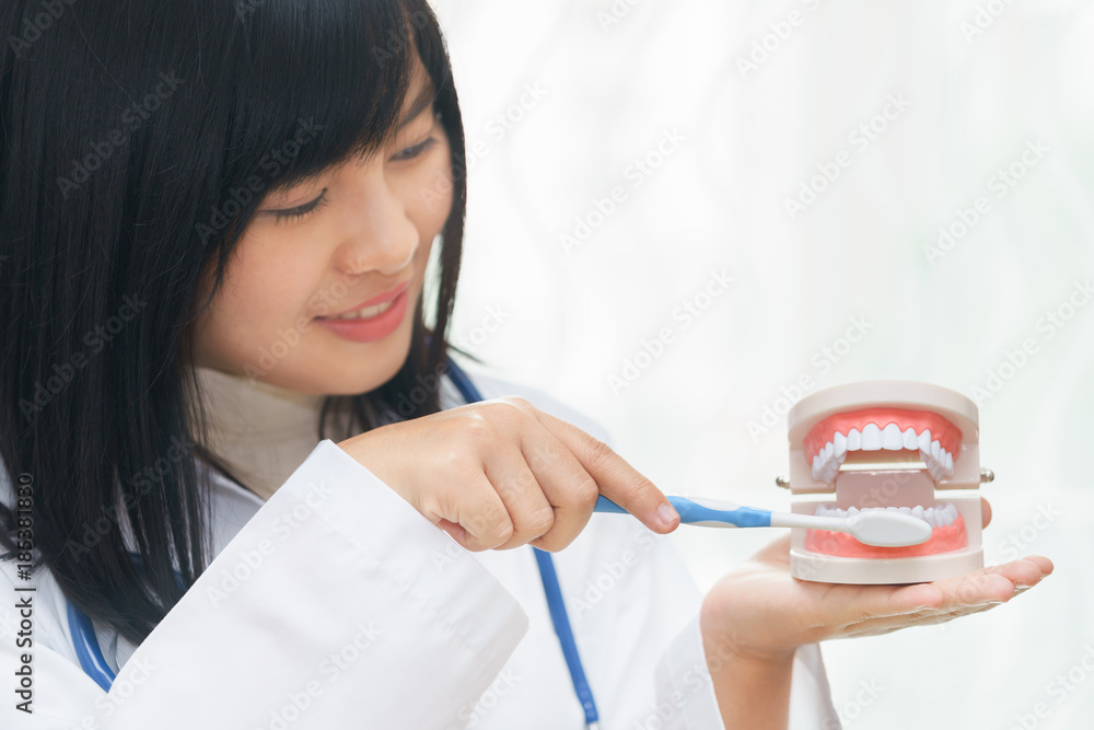Female dentist demonstrate brushing teeth with teeth model. Female dentist demonstrate brushing teeth with teeth model.