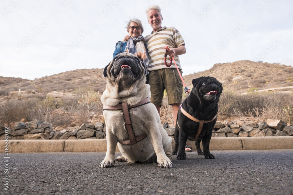 seniors who spend time with their domestic dogs seniors who spend time with their domestic dogs