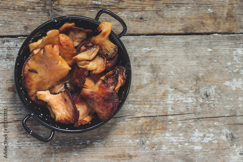 roasted oyster mushrooms in a frying pan on a dark background (color flamingo) photo