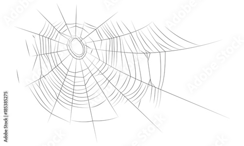 The old web, isolated on white background