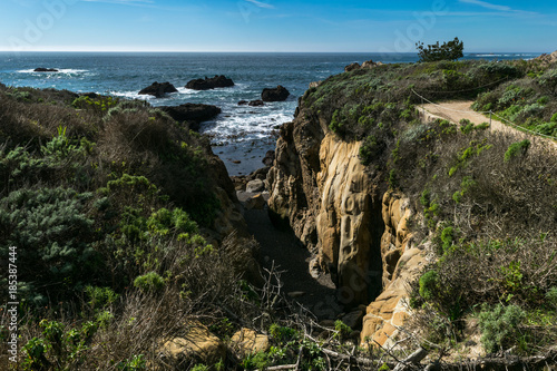 Point Lobos State Natural Reserve, Big Sur, Carmel Highlands, Monterey County, California, USA