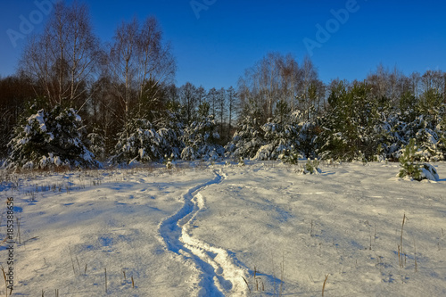Fototapeta Naklejka Na Ścianę i Meble -  zima na Warmii