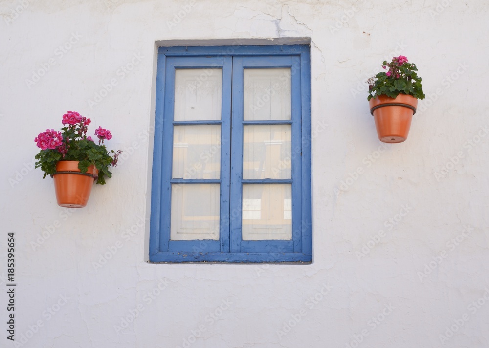 Flowers pots and blue window in Estepona, Andalusia, Spain